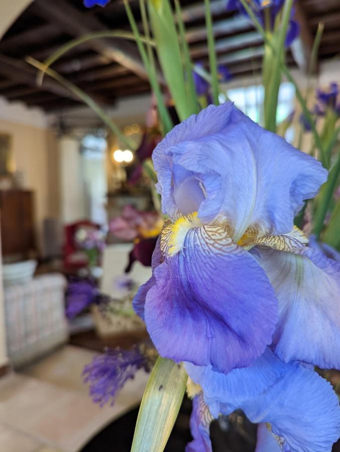 Hotel Dimora Marella - Frosinone